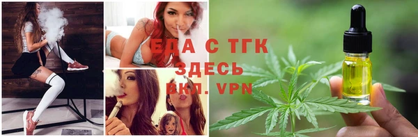 прущие грибы Вяземский
