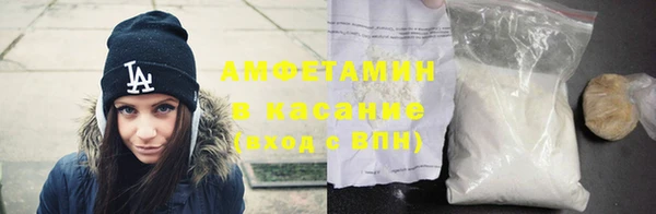 прущие грибы Вяземский