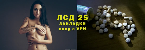 прущие грибы Вяземский