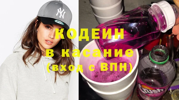 прущие грибы Вяземский