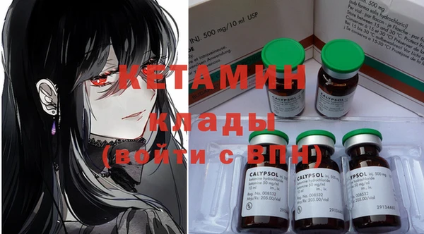 прущие грибы Вяземский