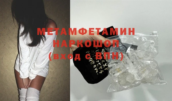 прущие грибы Вяземский