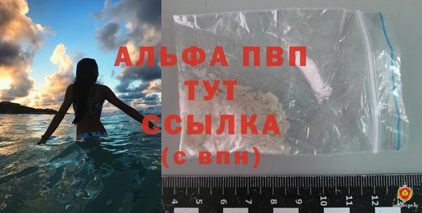 прущие грибы Вяземский